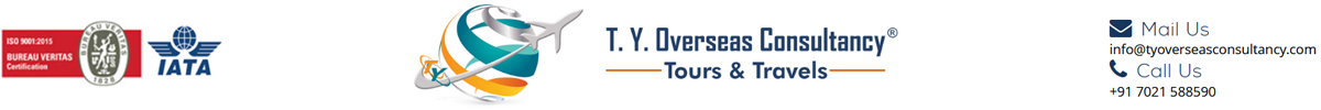 T. Y. Overseas Consultancy